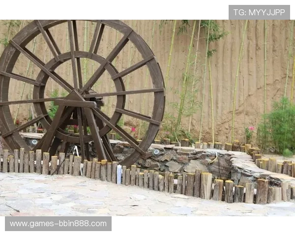 evo真人娛樂場：專屬VIP尊享服務，提供個性化的遊戲體驗與專業的客戶支持