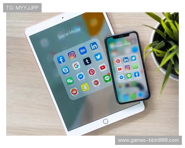 BBIN网址登录线路故障排查与维护指南帮助用户顺畅登录